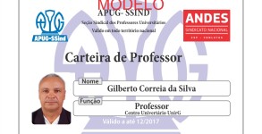 modelo carteira