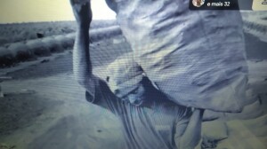 546b0fe4-4297-4148-a400-81517a3bcd16