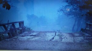 937ff76e-e532-4eec-a408-c9371ab2466f