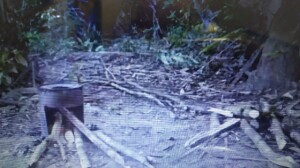 97a325c7-2b68-44a4-a18a-fb54847f45ff