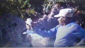 a7f52364-d031-4660-a20b-d50e6d00e636