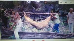 c28d7995-fbab-4520-b139-6a705432f10b