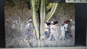 ef78aa50-c435-4b31-af94-9113fd4e3d8e