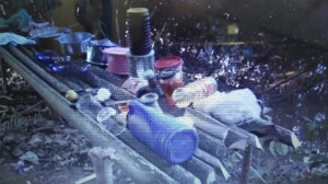 f1544467-fe81-44c2-ba0b-af808b1611db